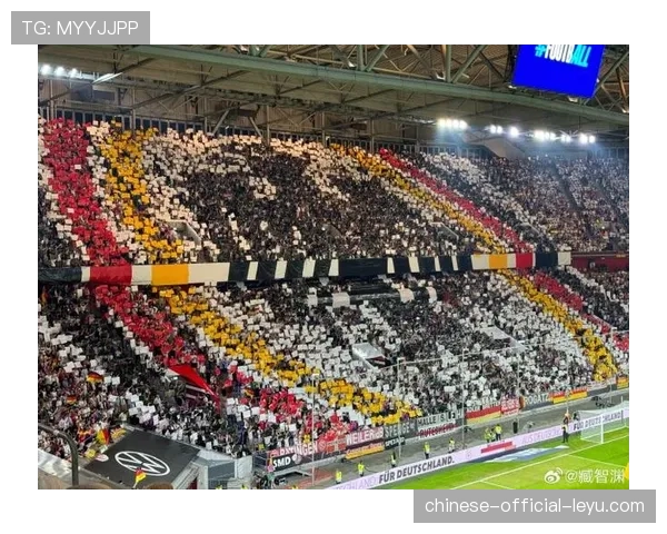 场边的风景：那些跟随球员环球征战的球迷与他们的支持故事